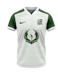 Image result for Alderbury Football Club