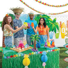 Image result for Aloha Sailboards