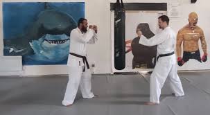 Image result for BJJ in Luton