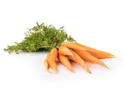 Image result for Möhren