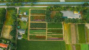 Image result for Heemtuin Rucphen