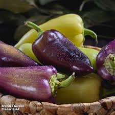 Afbeeldingsresultaat voor giant 3 sweet pepper