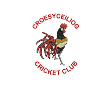 Image result for Croesyceiliog Cricket Club