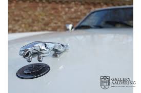 Image result for Tudor White 1981 Jaguar