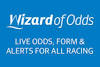 WizardOfOdds_banner_172x115-172x115.jpg