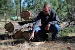 Managing forest 
helped stop Wa ...