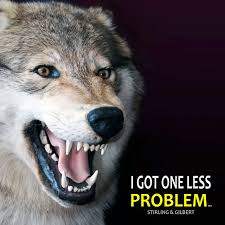 Image result for Stirling Wolves