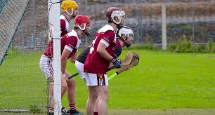 Image result for Sean Treacy`s Hurling Club