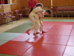 Image result for Beith Judo Club