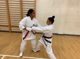 Image result for Kenshukai Karate