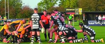 Image result for Ipswich Rfc