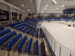 Image result for Halton Farnworth Hornets A R L F C