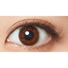 「フレッシュルックデイリーズイルミネート」の画像検索結果