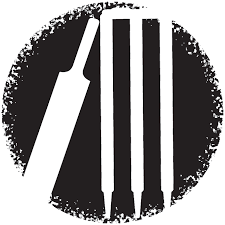 Image result for Hadlow Cricket Club