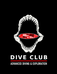 Image result for 3D Diving Club