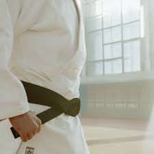 Image result for Thatcham Wado Karate Club