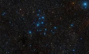 Attēlu rezultāti vaicājumam “Cygnus”