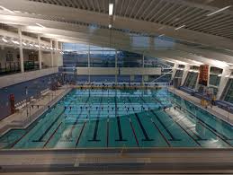 Image result for Tadcaster Amateur Swimming Club