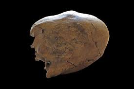 Image result for elongated skulls
