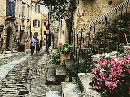 Attēlu rezultāti vaicājumam “Sterna”