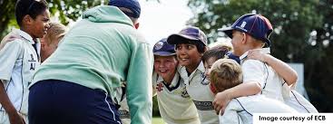 Image result for Hook Norton Junior Cricket Club