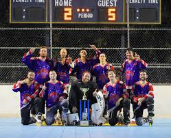 Image result for Vipers Roller Hockey Team