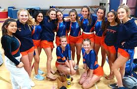 Image result for Valhalla Netball Club
