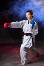 Image result for TRINITY KARATE ACADEMY
