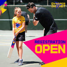 Image result for Steeple Langford Cricket Club