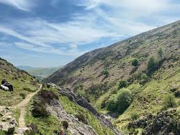 Image result for Long Mynd