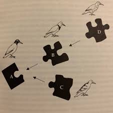 Image result for Killamarsh Mayhem