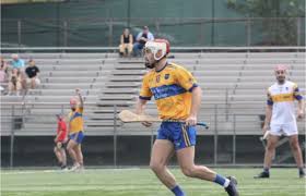 Image result for hurling