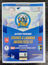 Image result for Staines Albion Fc