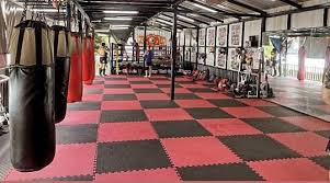 Image result for Muay Thai Clubs