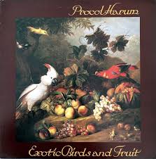 Attēlu rezultāti vaicājumam “Galium album fruit”