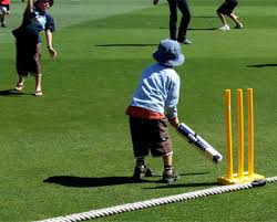 Image result for Walton Cricket Club