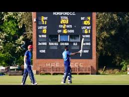 Image result for Halstead Colts Cricket Club