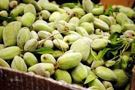 Image result for fresh green almonds