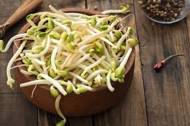 Image result for bean sprout