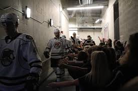 Image result for Hersham Hockey Club