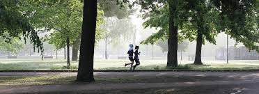 Image result for Alkborough Cricket Club