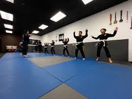 Image result for Basingstoke Aiuchi jiu Jitsu Club
