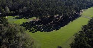 Image result for Blackmoor Golf Club