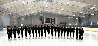 Image result for Solihull Recreational Ice Dancing Club