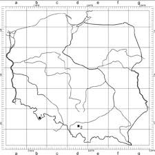 Attēlu rezultāti vaicājumam “Arcyria globosa”