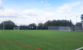 Image result for Wyvern Badminton Club