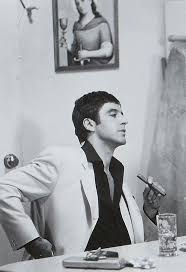 Attēlu rezultāti vaicājumam “Tubifera montana young”