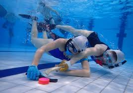 Image result for Sheffield Octopush Club