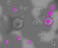 Play Phage Wars 2 ( Strategic wargames )