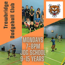 Image result for Harborough Junior Dodgeball Club
